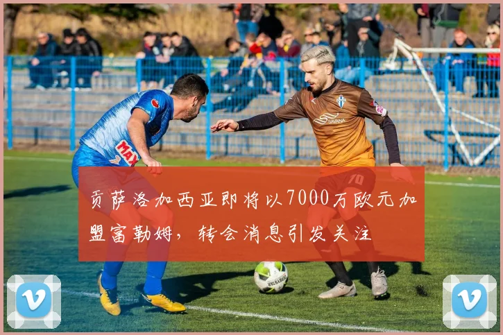 贡萨洛加西亚即将以7000万欧元加盟富勒姆，转会消息引发关注